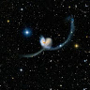 Meet your Posher, Ava